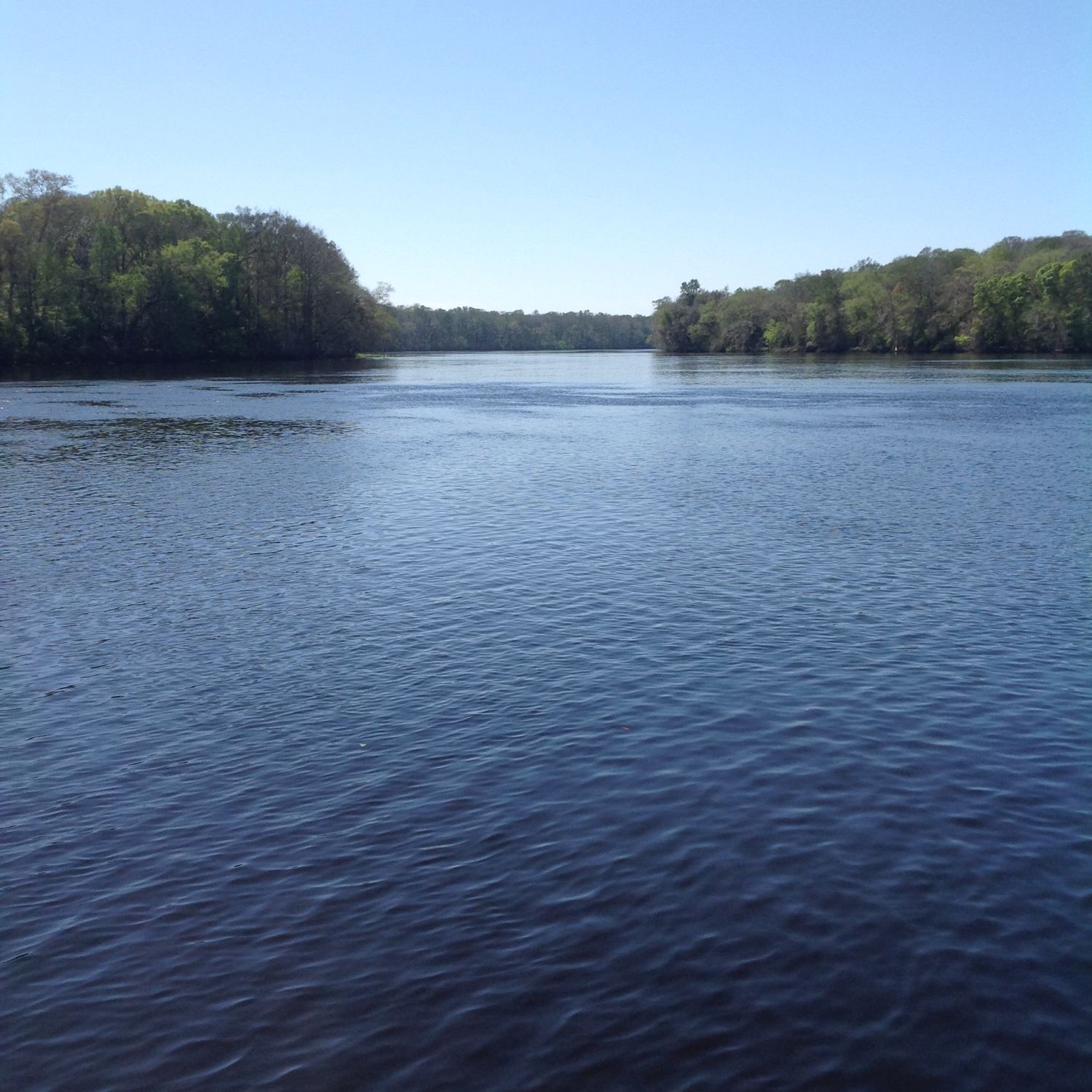 Boat Rentals on Suwannee River in Old Town Florida
